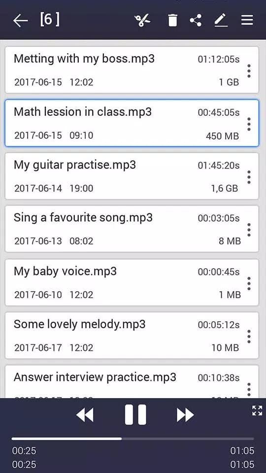 Voice Recorder screenshot