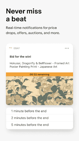 eBay screenshot