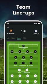 Football Scoreboard-Live Score screenshot
