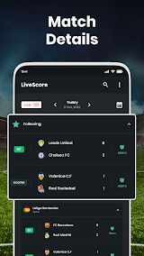 Football Scoreboard-Live Score screenshot