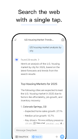 DeepSeek screenshot