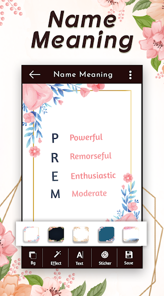 My Name Meaning screenshot