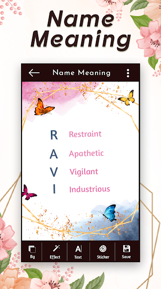 My Name Meaning screenshot